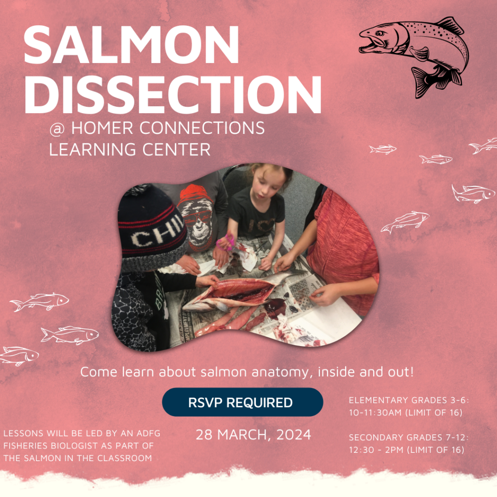 Homer Salmon Dissection Connections